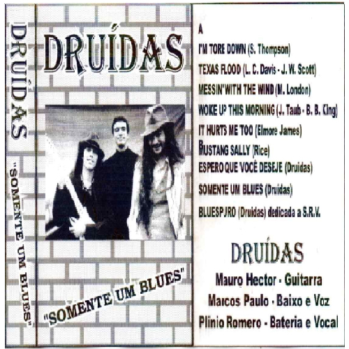 Druidas